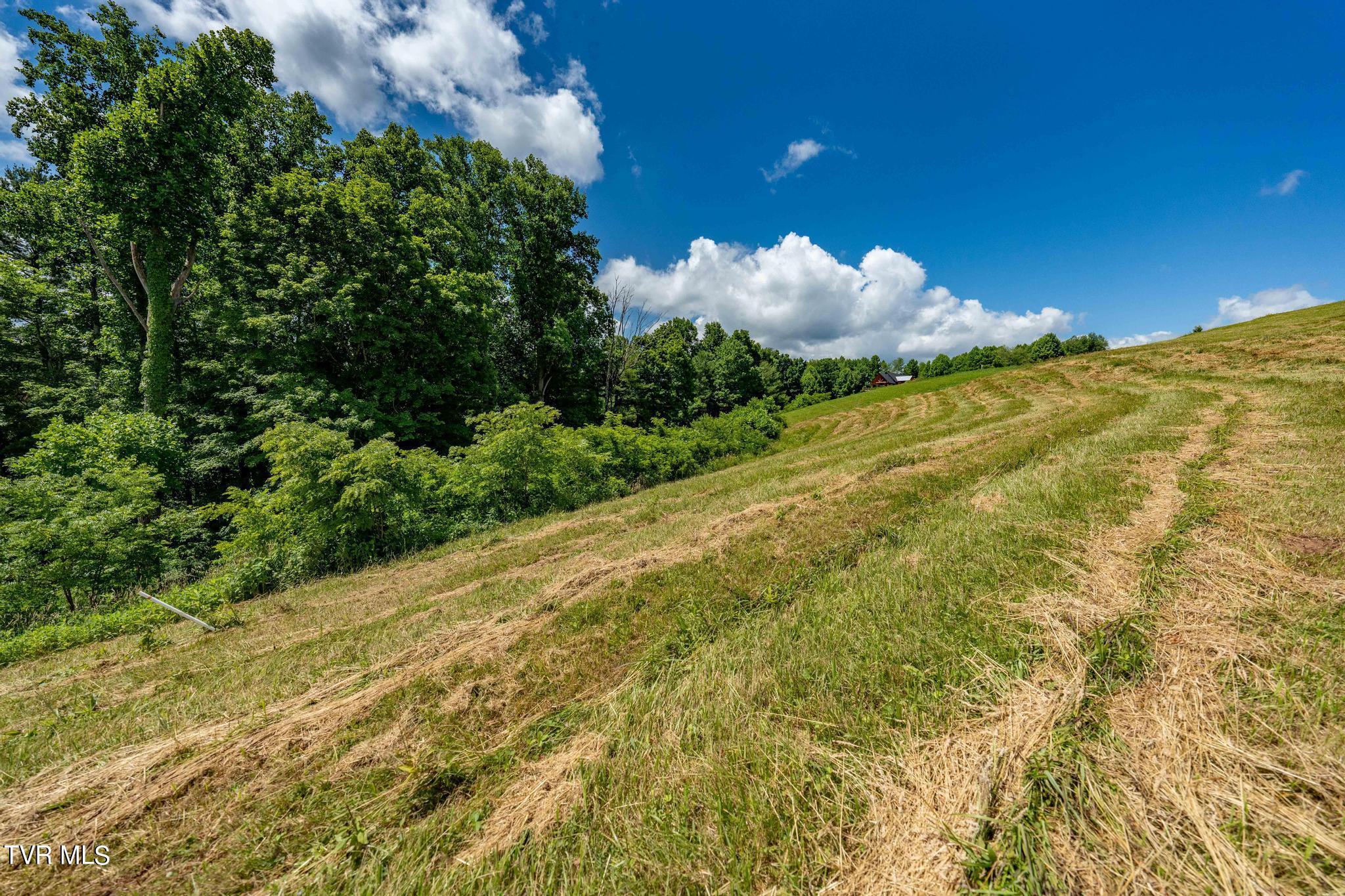 Lot 28 Eagle Rdg Parkway, Unit 28 Butler, TN 37640 - Photo 70 of 93 Lot 28 in Eagle Bay