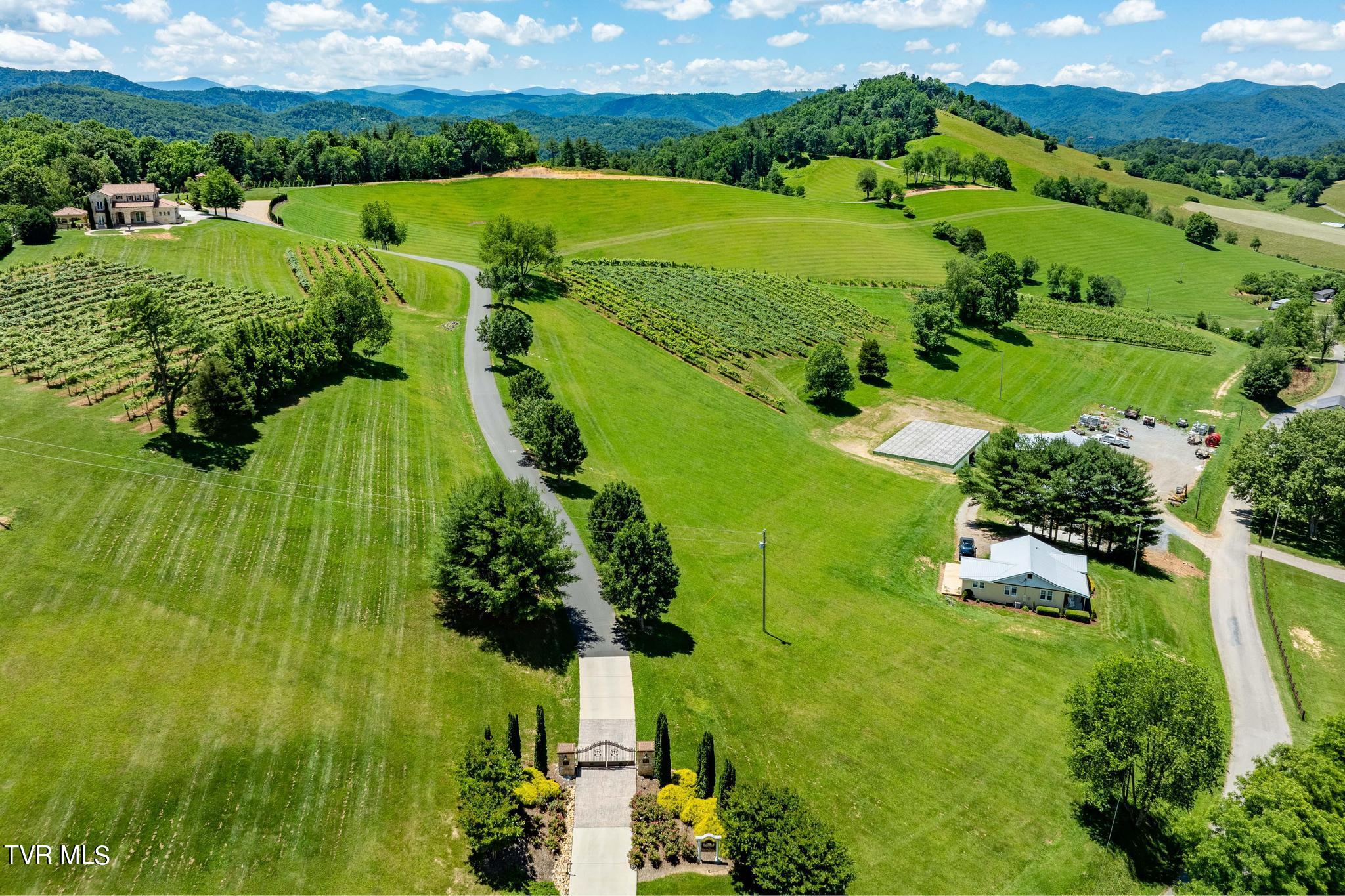 Lot 28 Eagle Rdg Parkway, Unit 28 Butler, TN 37640 - Photo 75 of 93 Villa Nove Winery