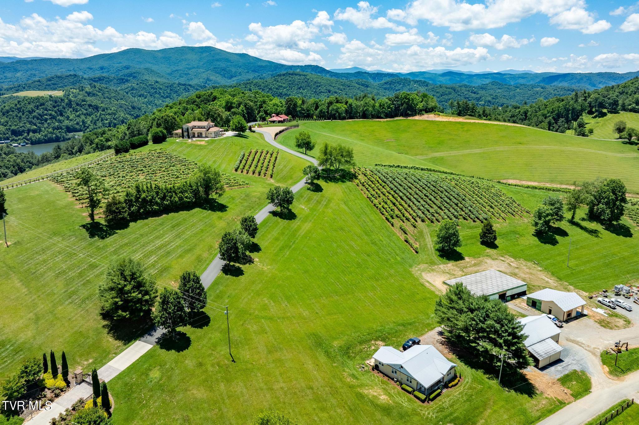 Lot 28 Eagle Rdg Parkway, Unit 28 Butler, TN 37640 - Photo 76 of 93 Villa Nove Winery