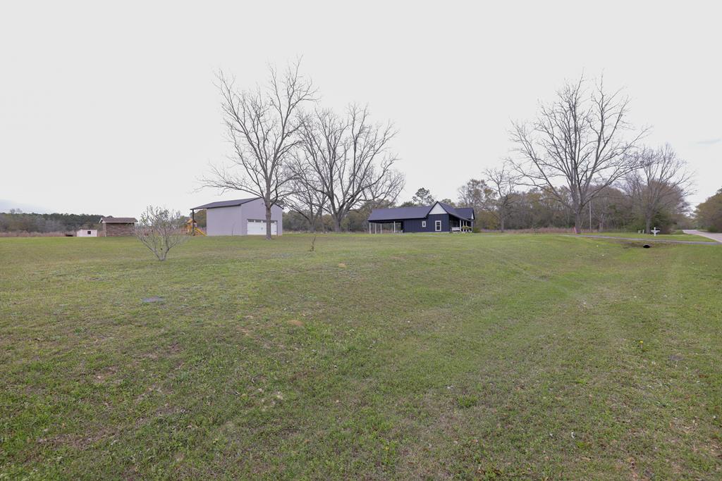 9846 County Road 49 Slocomb, AL 36375 - Photo 15 of 53