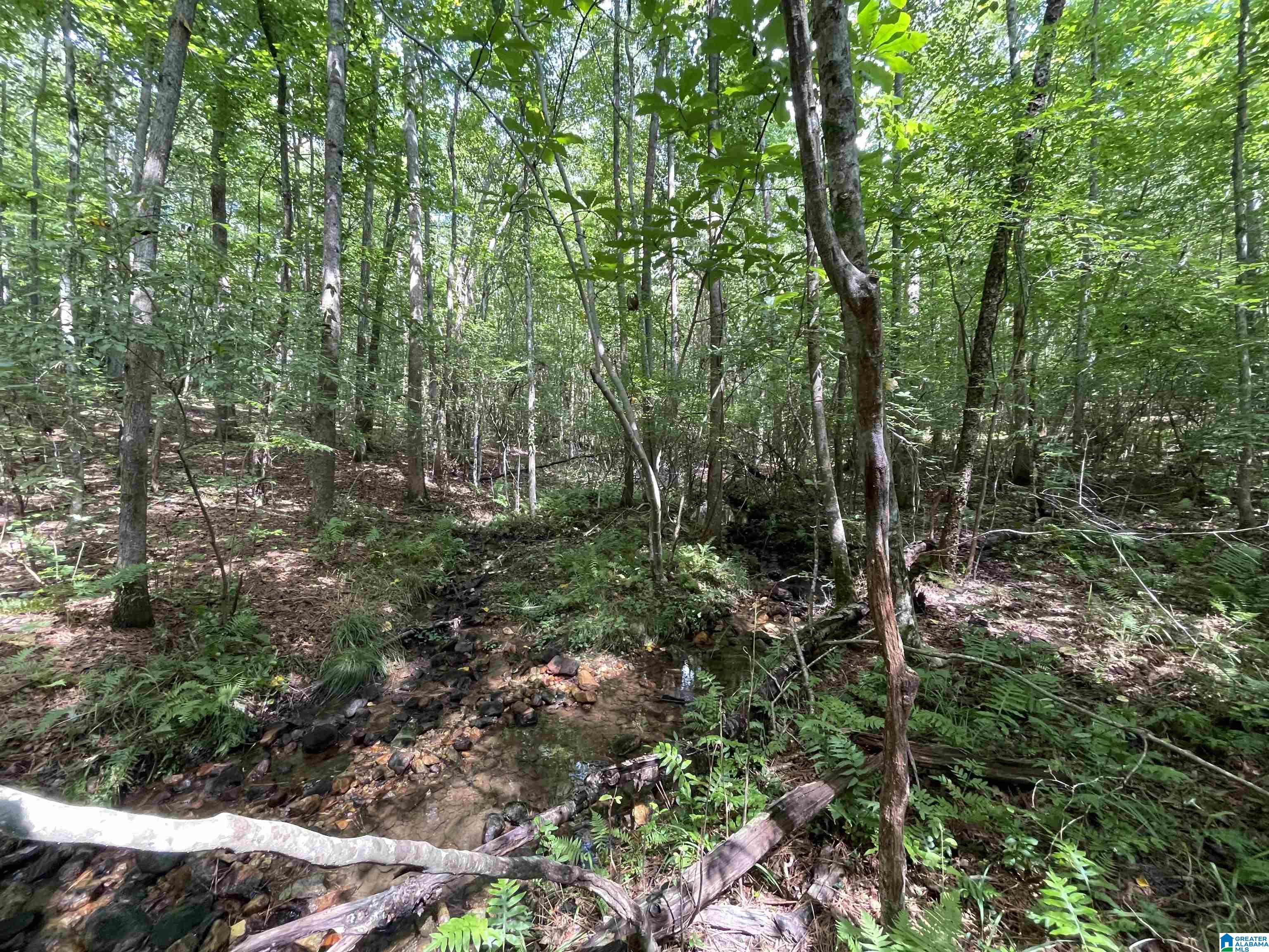0 County Road 689, Unit 1 Ranburne, AL 36273 - Photo 51 of 69