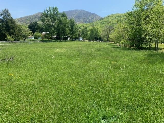 11 Katy Hollar Rd. Road Sevierville, TN 37862 - Photo 2 of 17