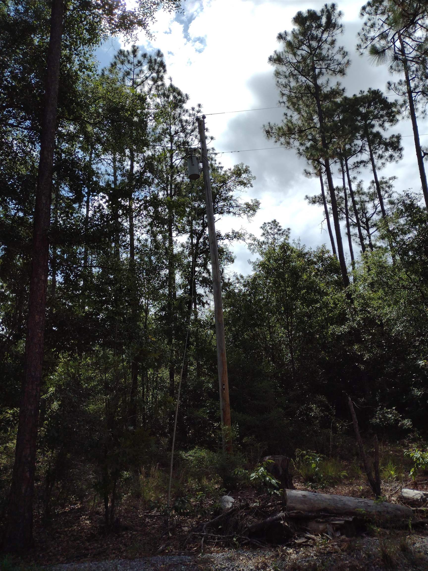 0 Silas Ganey Road Stockton, AL 36579 - Photo 2 of 6 View