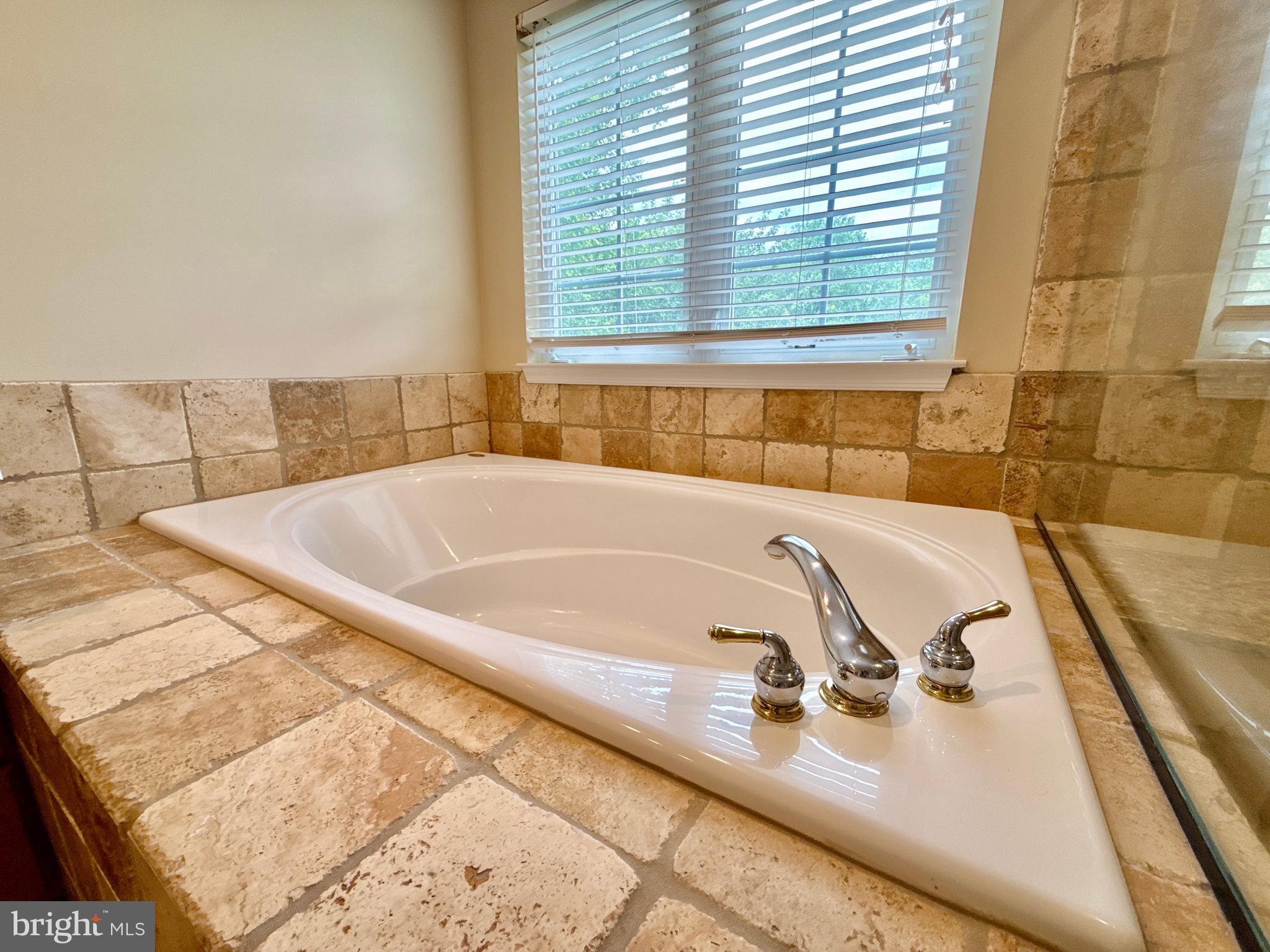 14100 Twisting Lane Dayton, MD 21036 - Photo 42 of 63 a bath tub sitting next to a window