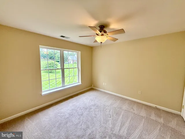 a view of a backyard with plants