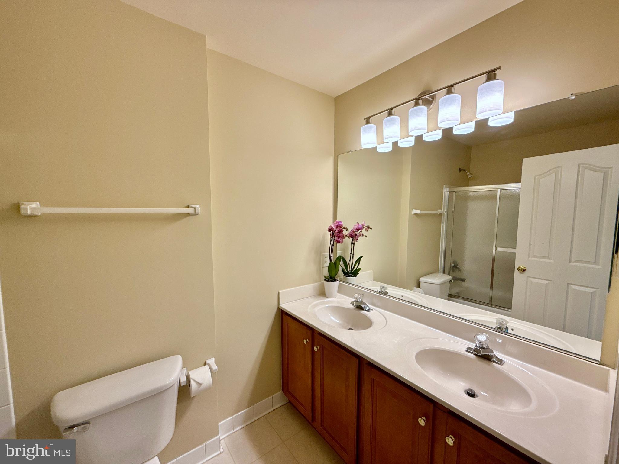 14100 Twisting Lane Dayton, MD 21036 - Photo 53 of 63 a bathroom with a double vanity sink mirror and toilet