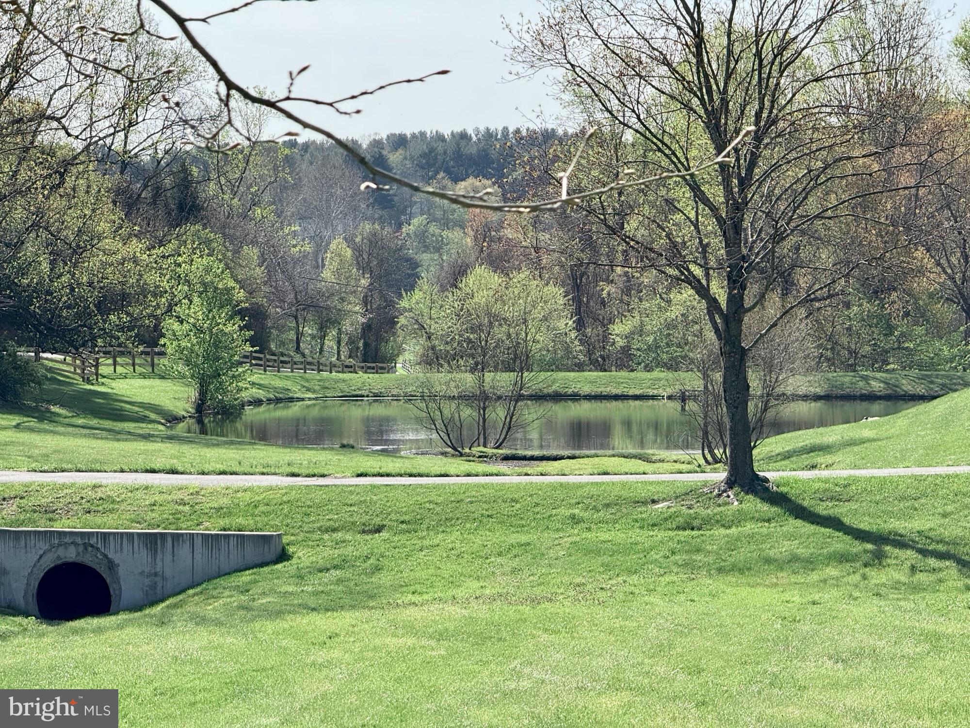 14100 Twisting Lane Dayton, MD 21036 - Photo 62 of 63 Local Pond
