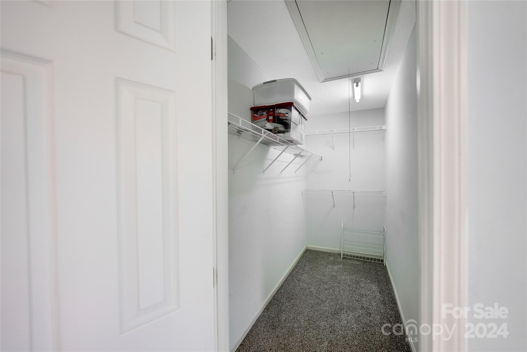 115 English Oak Road Fletcher, NC 28732 - Photo 18 of 30 a view of walk in closet
