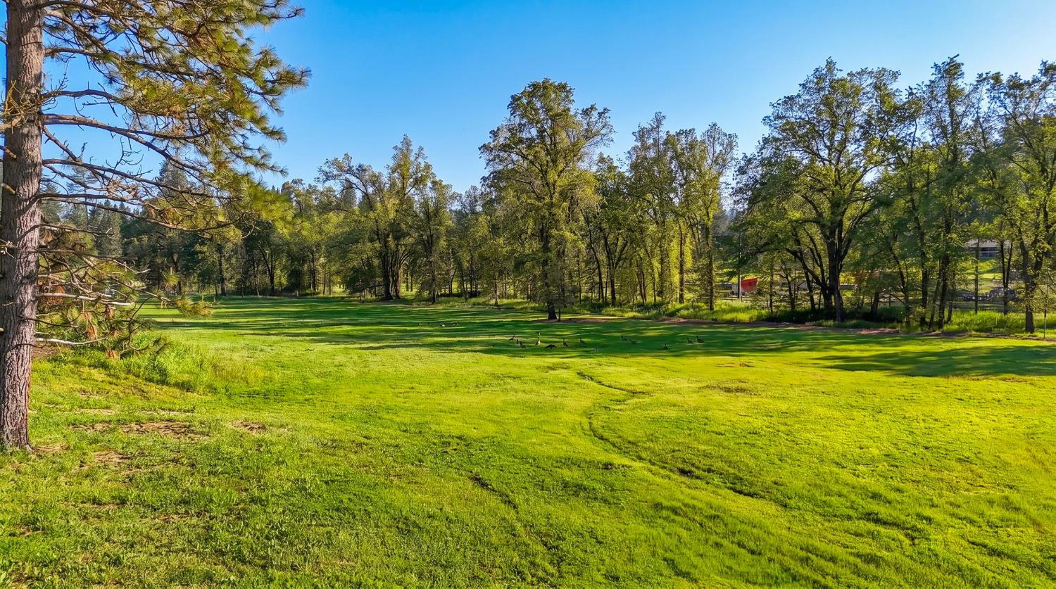 4360 Pleasant Valley Road Placerville, CA 95667 - Photo 6 of 71 Here's a good view of the majority of this property's beautiful meadow and seasonal creek just beyond!