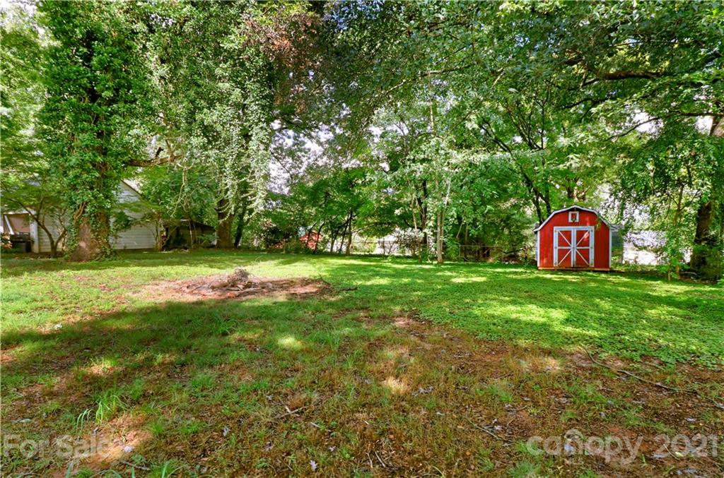 105 Stony Point School Road Stony Point, NC 28678 - Photo 24 of 25 a view of a tree in a yard with potted plants and large trees