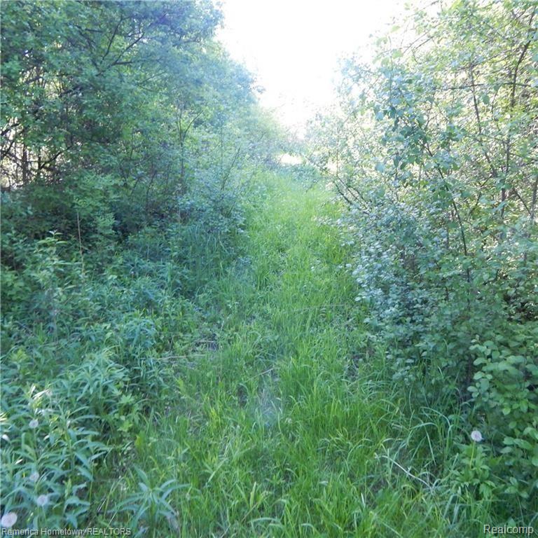 50465 West Seven Mile Road Northville, MI 48168 - Photo 6 of 9