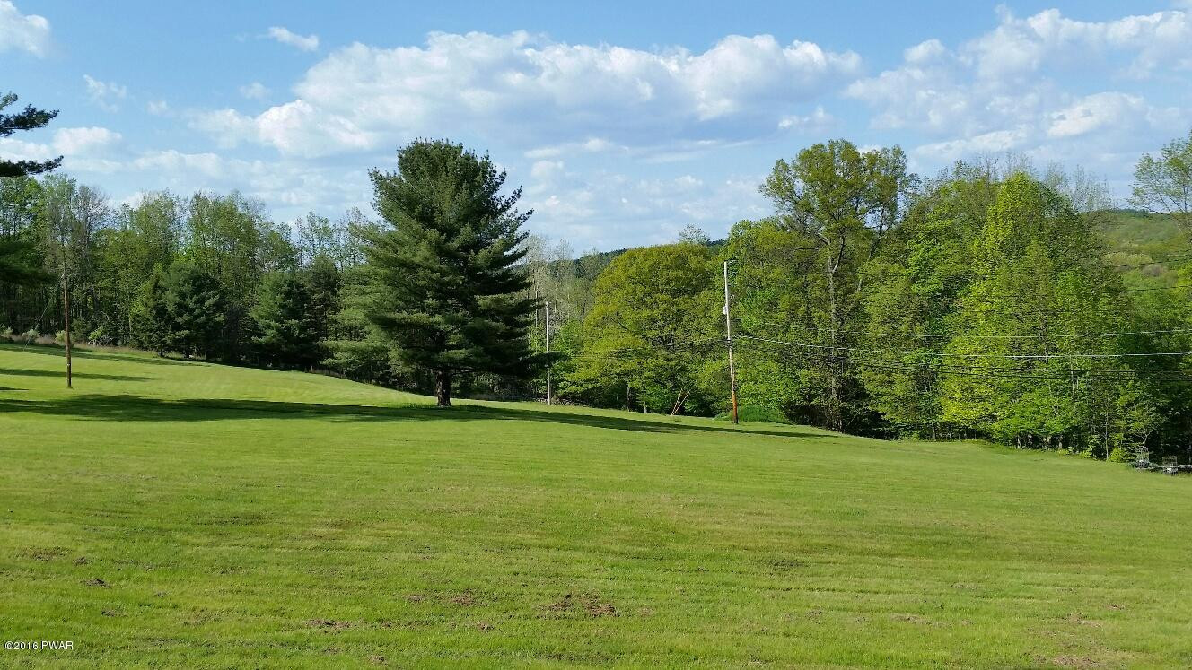 411 Finn Swamp Road Lakeville, PA 18438 - Photo 24 of 29