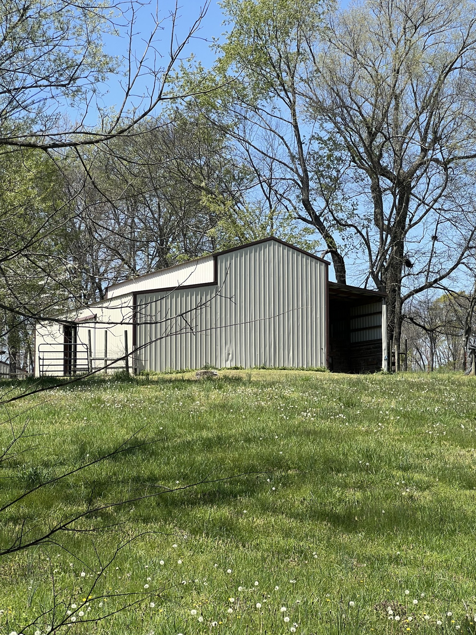 8338 Guthrie Road Cross Plains, TN 37049 - Photo 40 of 43 a view of a backyard with large trees