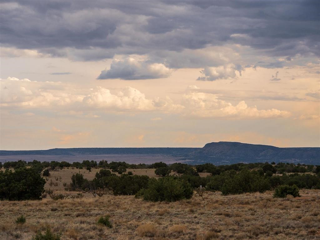 345 New Moon Overlook Road Lamy, NM 87540 - Photo 2 of 13
