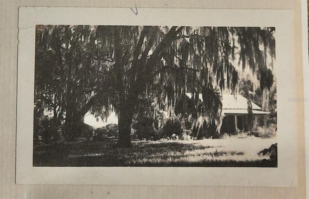 1985 Northeast 97th Street Road Anthony, FL 32617 - Photo 40 of 45