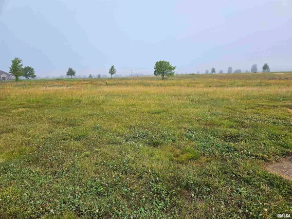 $44,900 | 921 Ring Drive, Metamora, IL 61548