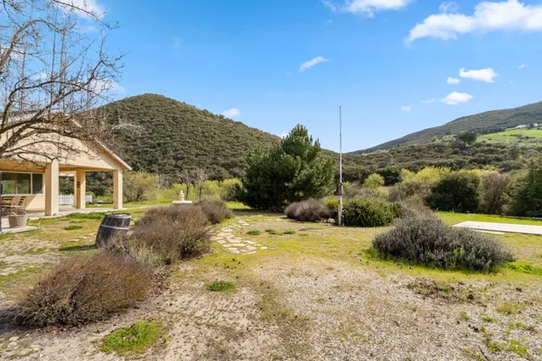 a view of a field with a tree