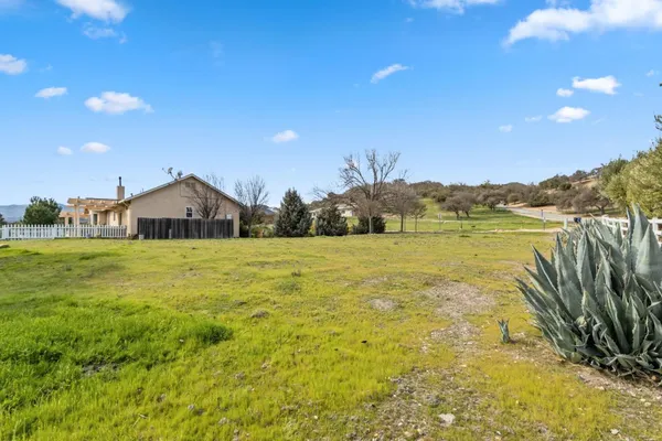 a garden view with sitting space