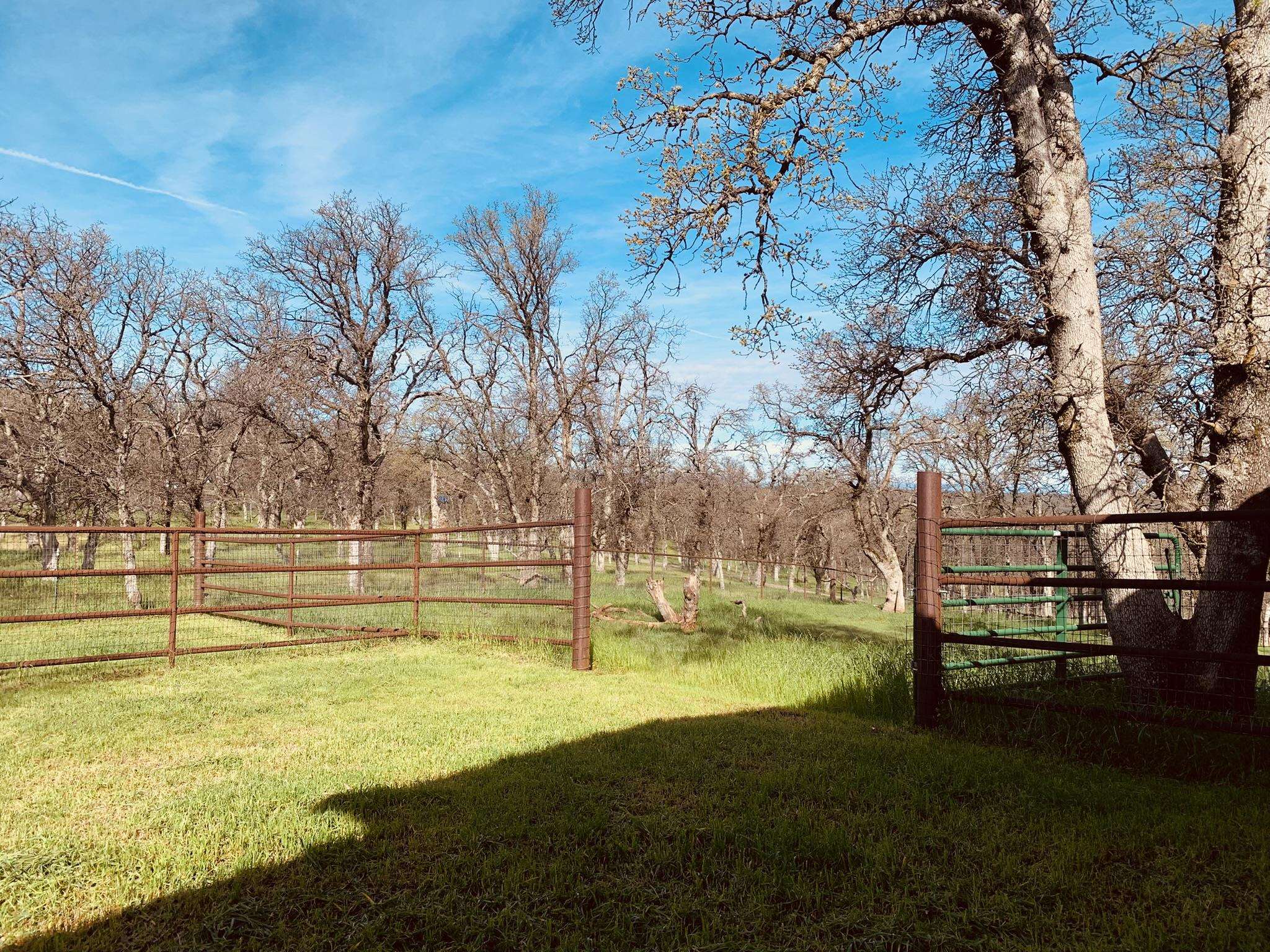 19015 Bonita Road Red Bluff, CA 96080 - Photo 43 of 45