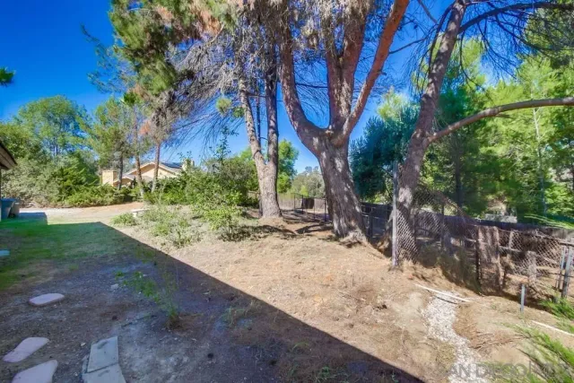 a view of a dry yard with trees in the background