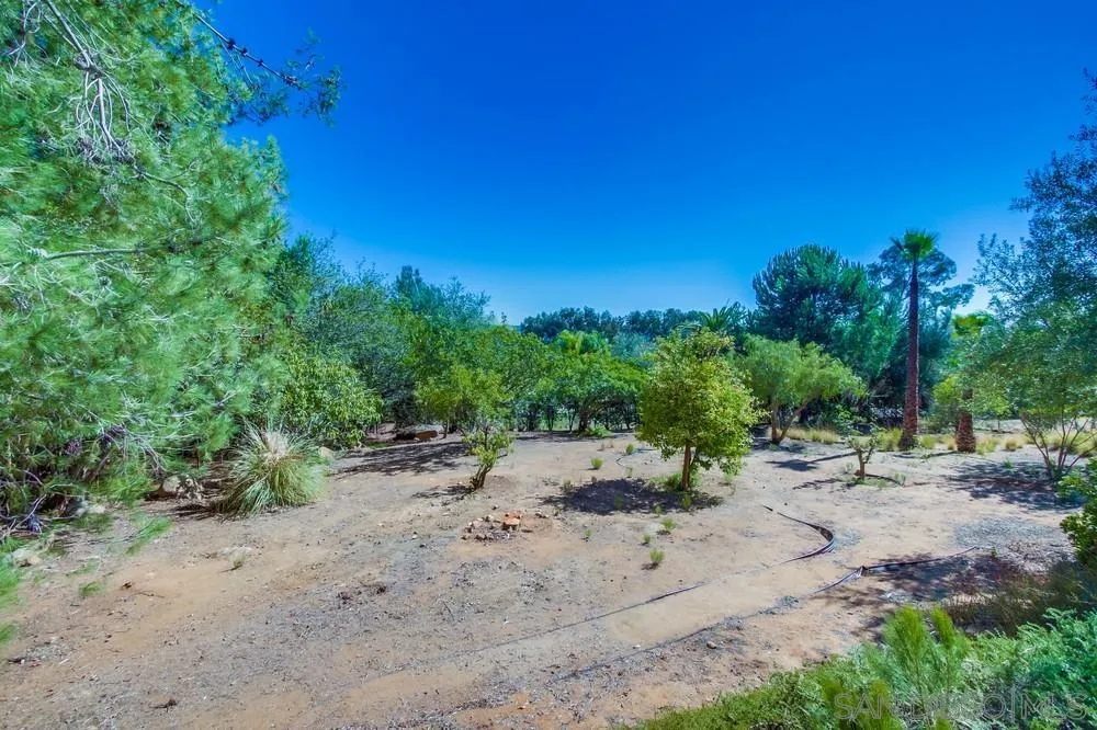 15235 Crestview Court Poway, CA 92064 - Photo 55 of 68 a view of a dry yard with trees in the background