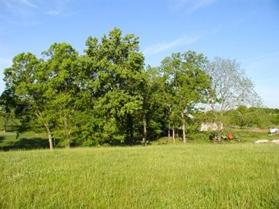 205 Old Bridge Road, Unit 63 Danville, KY 40422 - Photo 4 of 7 Photo 4