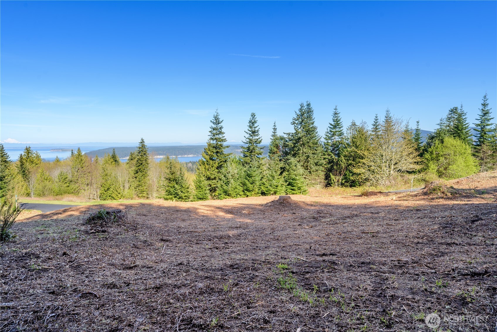 9999 Elk Pass Road Sequim, WA 98382 - Photo 8 of 13 a view of a beach with a trees in the background