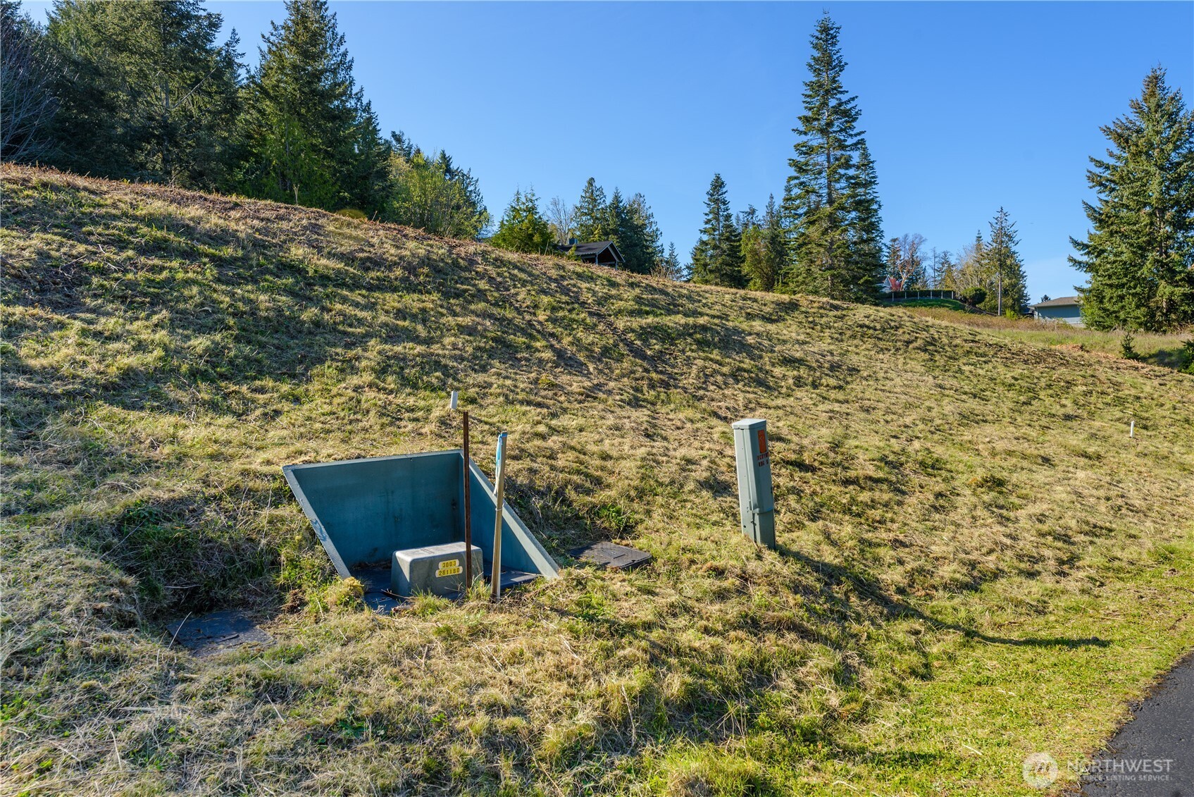 9999 Elk Pass Road Sequim, WA 98382 - Photo 9 of 13 a backyard of a house with large trees
