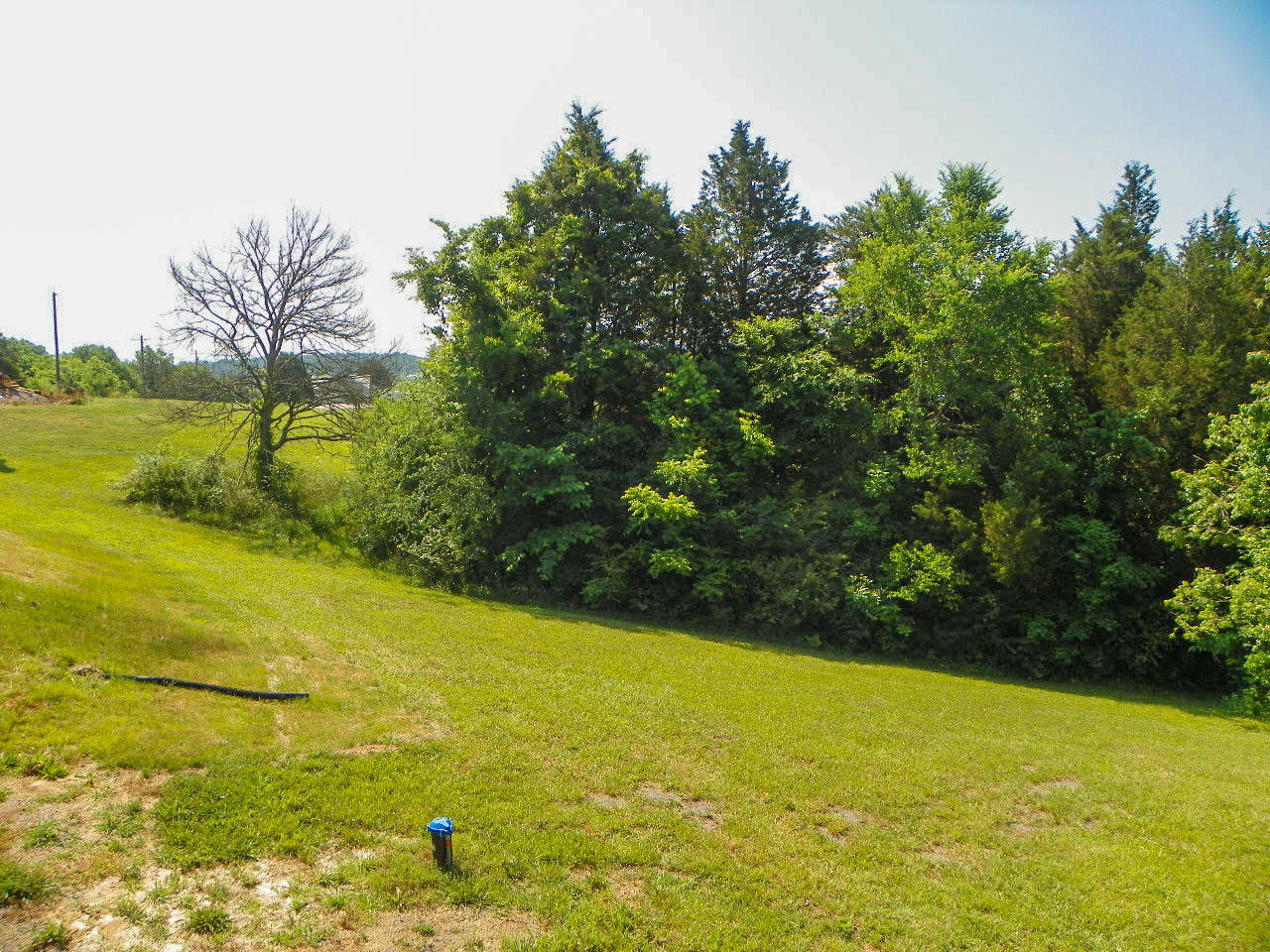 3071 Hardy Road White Pine, TN 37890 - Photo 29 of 34 102_5552