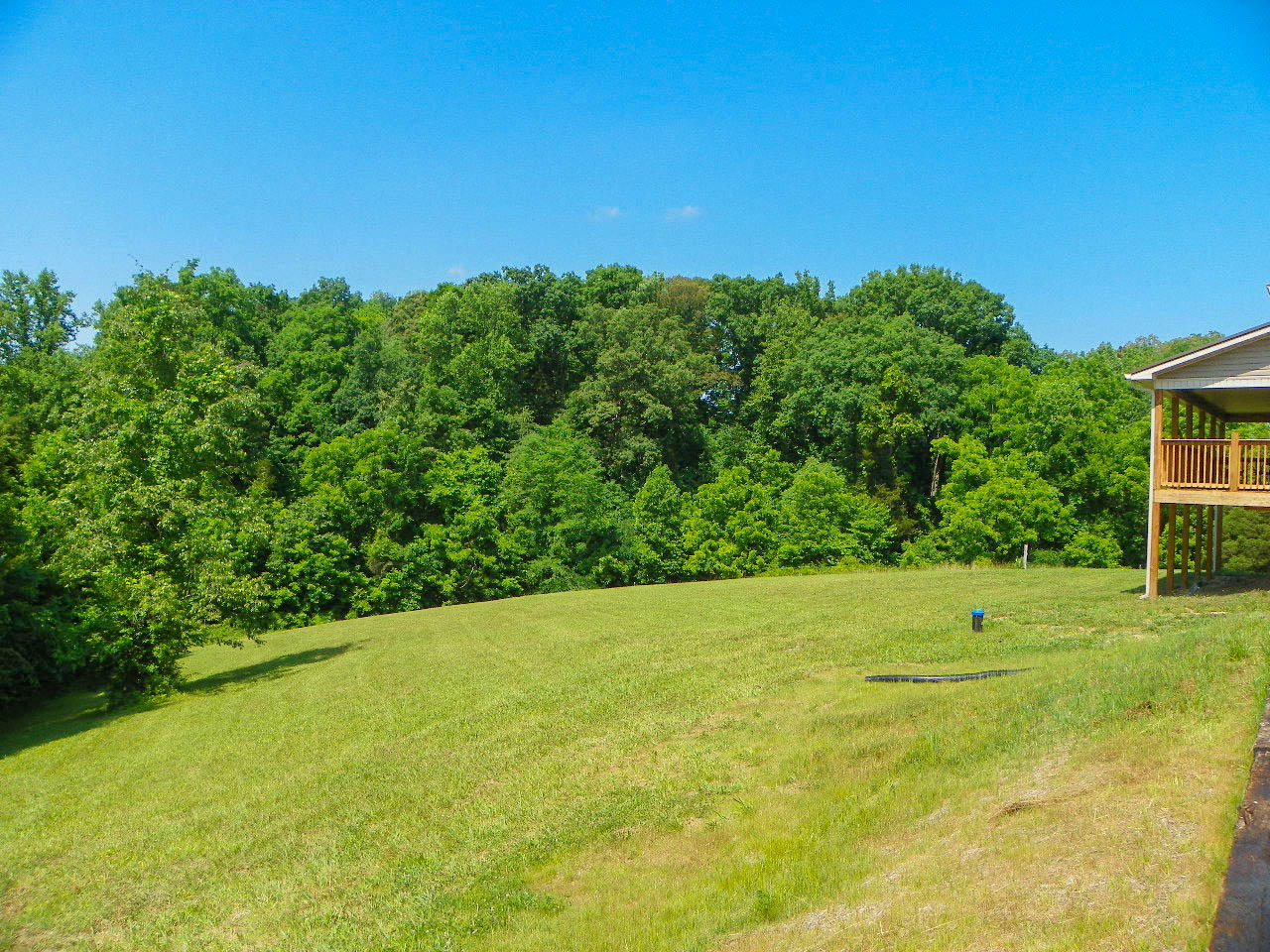 3071 Hardy Road White Pine, TN 37890 - Photo 30 of 34 102_5592