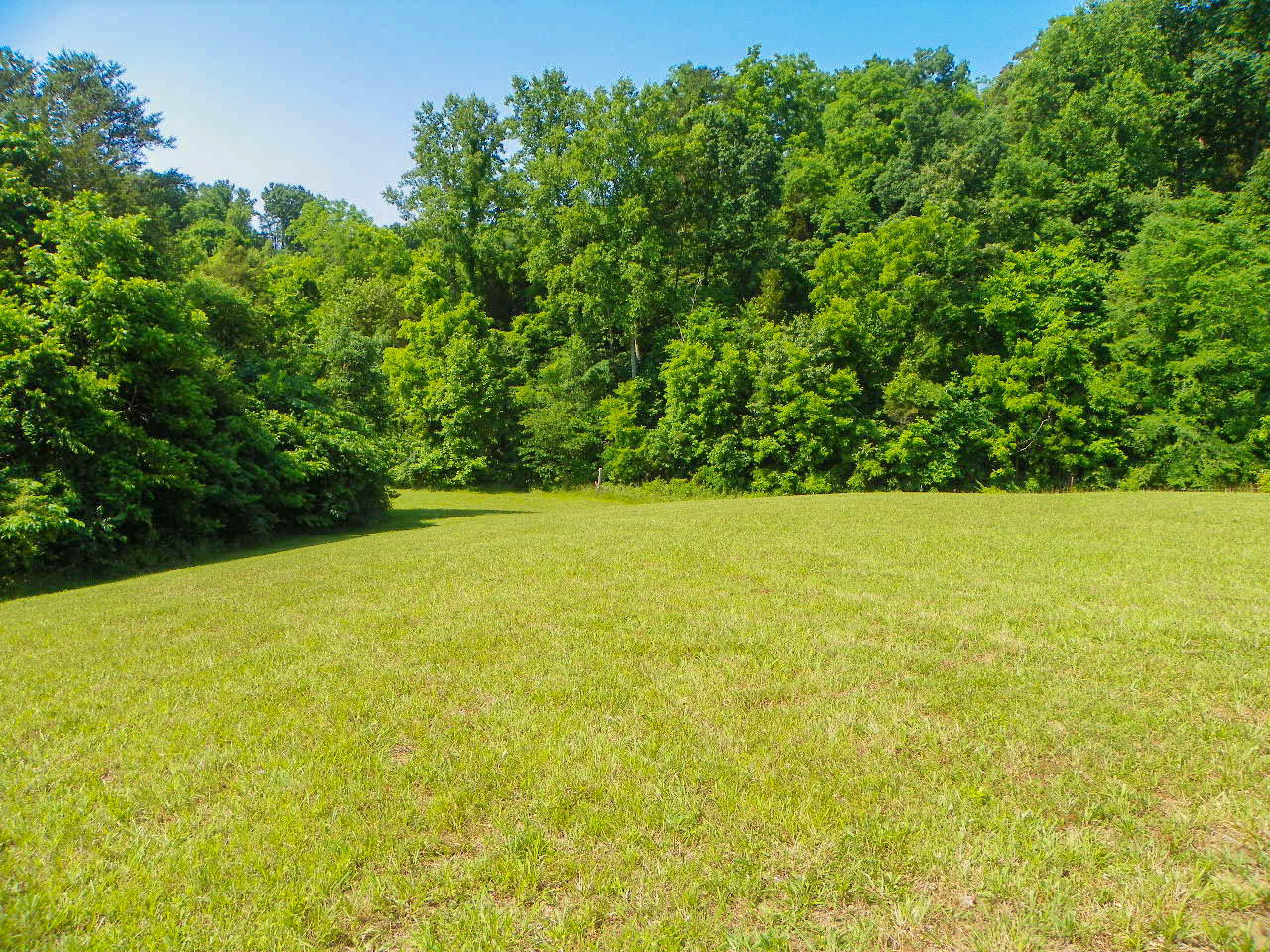 3071 Hardy Road White Pine, TN 37890 - Photo 31 of 34 102_5589