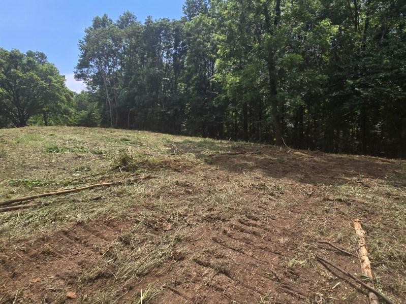 0 Pea Ridge Fire Tower Road Celina, TN 38551 - Photo 48 of 53