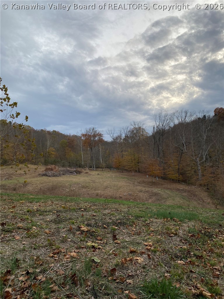 0 Poca River Road Poca, WV 25159 - Photo 19 of 30 Gallery Image 19