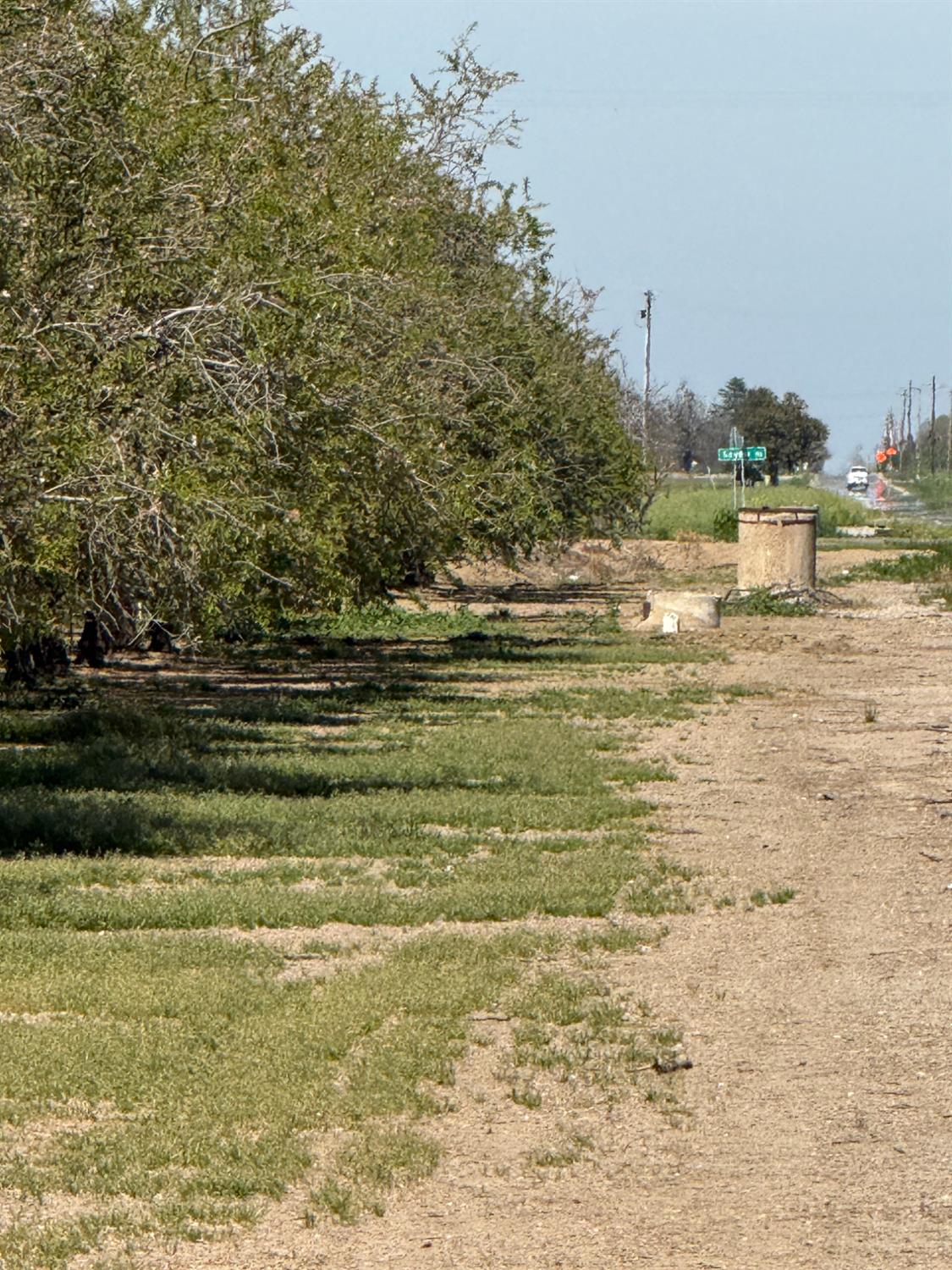 6009 Whitworth Road Gustine, CA 95322 - Photo 3 of 6
