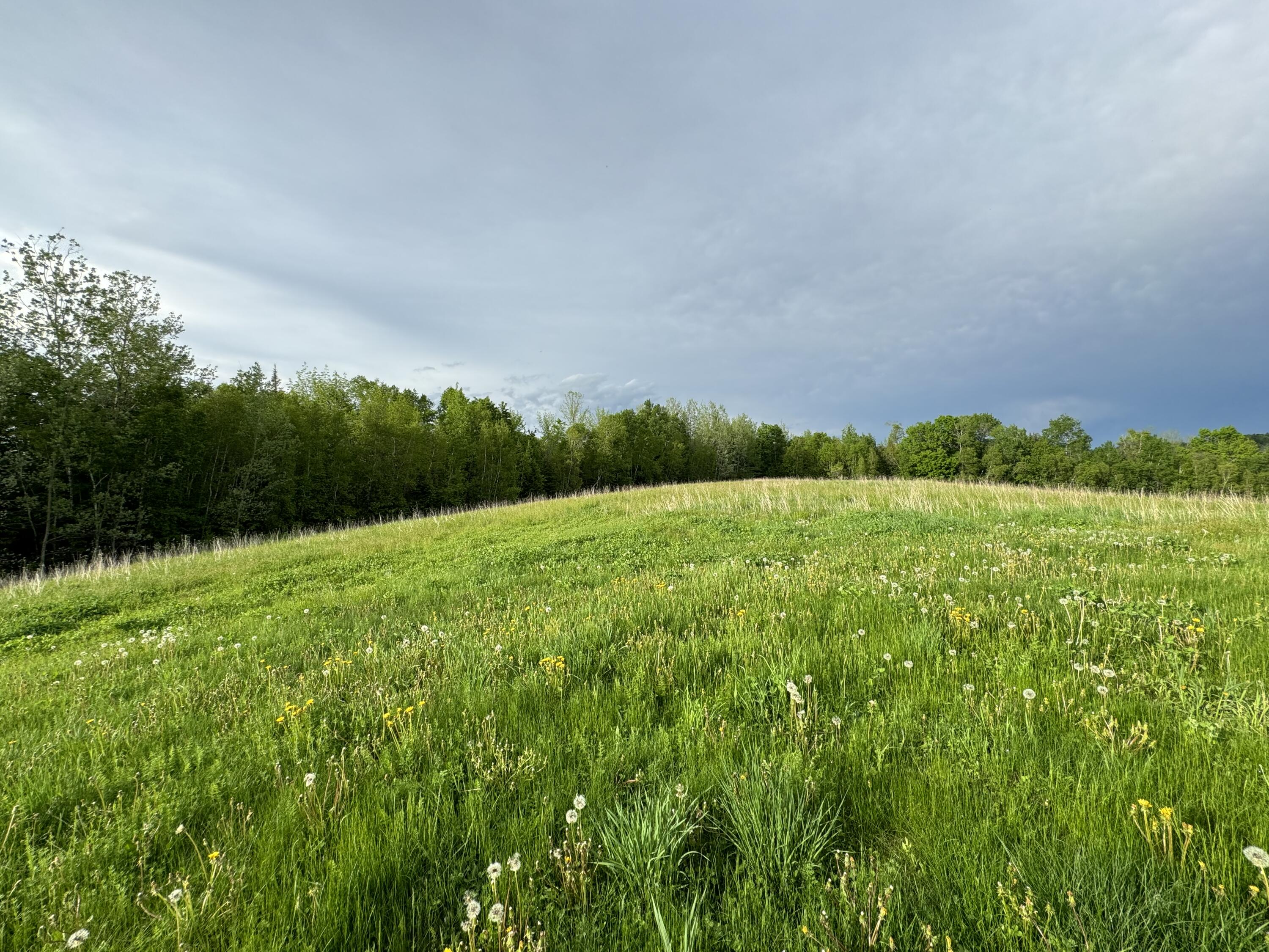 3170 Lee Road Lee, ME 04455 - Photo 17 of 43 IMG_1808