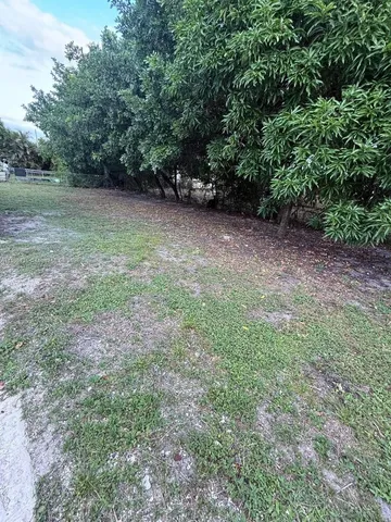 a view of a green field with lots of bushes