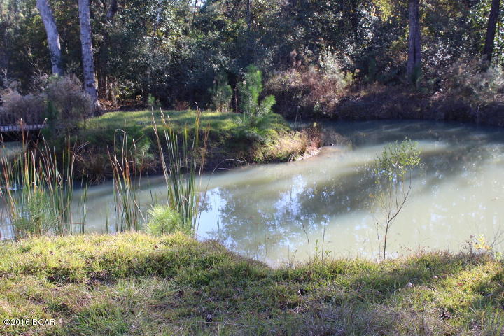 903 Ocheessee Landing Road Grand Ridge, FL 32442 - Photo 3 of 11 Gallery Image 3