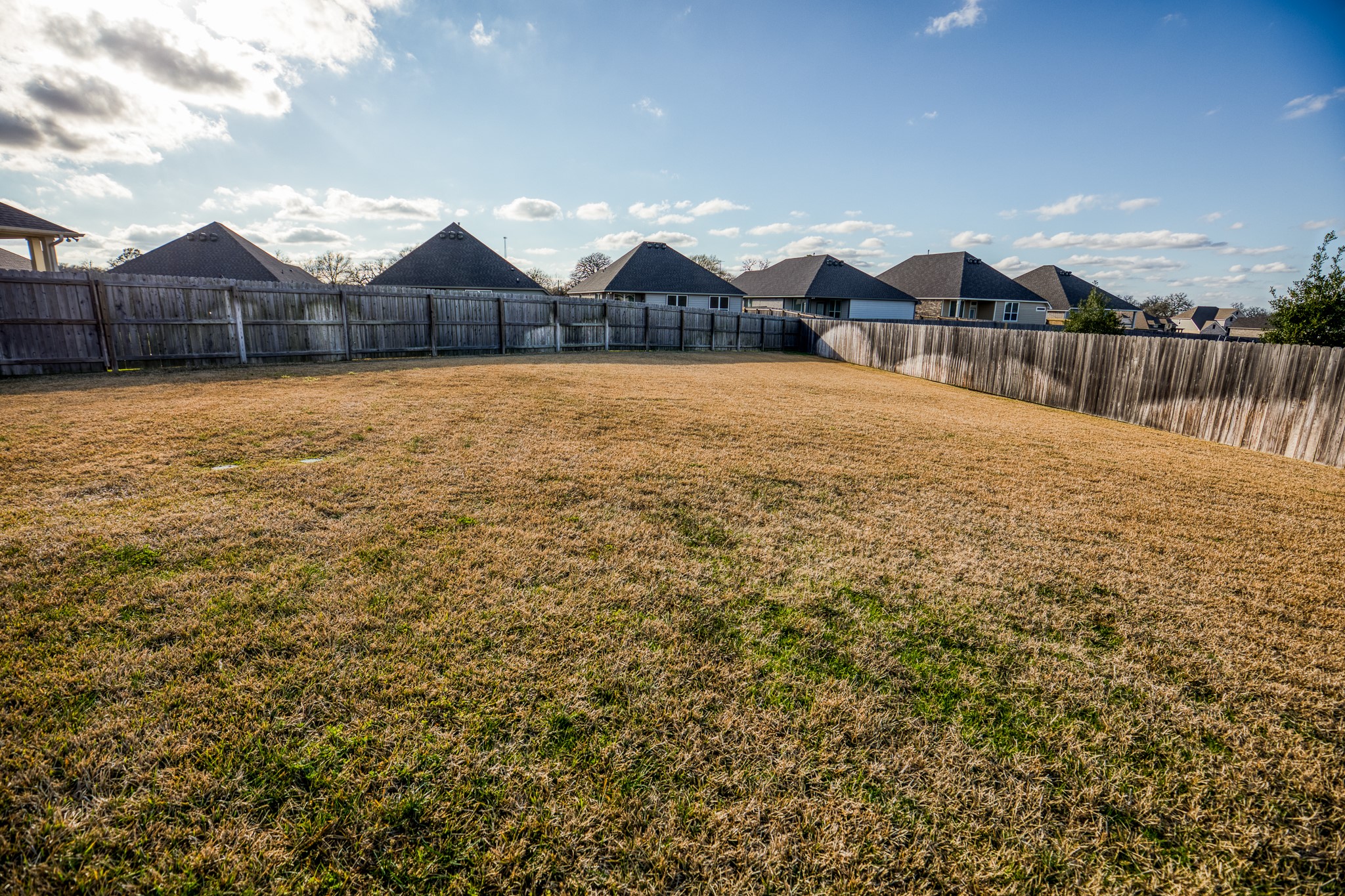 2004 Vineyard Pass Brenham, TX 77833 - Photo 35 of 37 a view of a house with yard and a pond