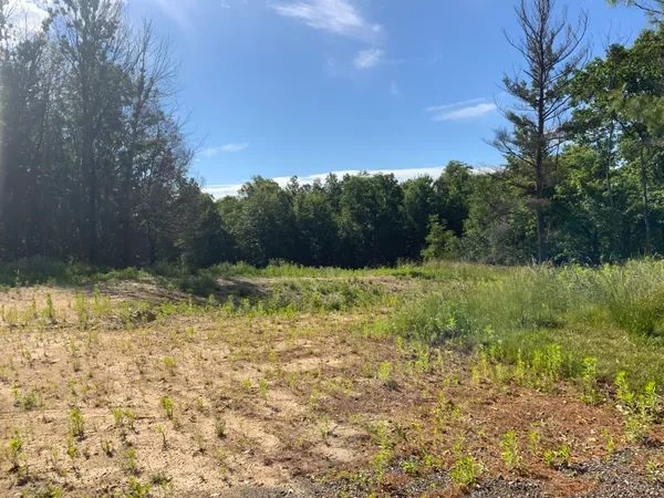 $185,000 | 16000 Force Avenue Northeast, Cedar Springs, MI 49319