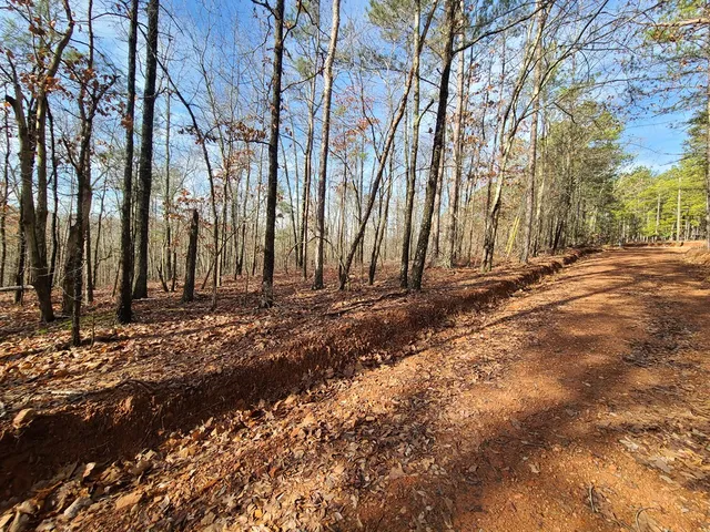 $6,000 | 6 Juniper Way, Woodland, GA 31836