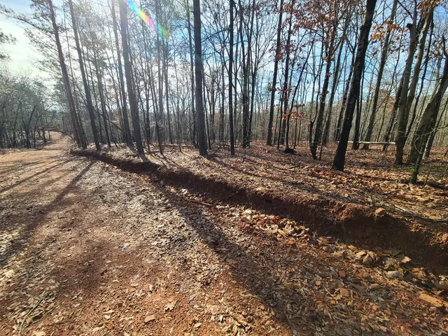 $6,000 | 6 Juniper Way, Woodland, GA 31836