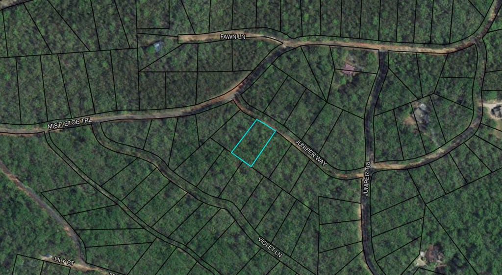 6 Juniper Way Woodland, GA 31836 - Photo 8 of 9