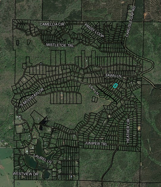 6 Juniper Way Woodland, GA 31836 - Photo 9 of 9 a view of a garden