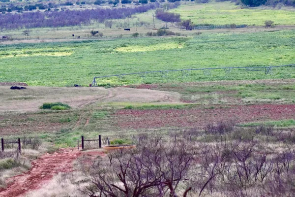 $2,392,000 | 70 Highway Brice Tx 79226, Clarendon, TX 79226