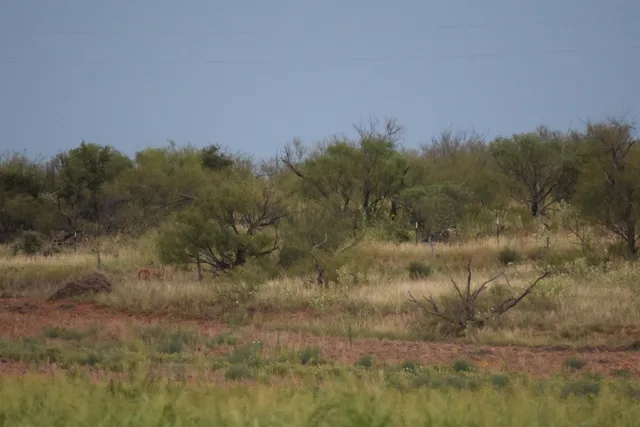 $2,392,000 | 70 Highway Brice Tx 79226, Clarendon, TX 79226