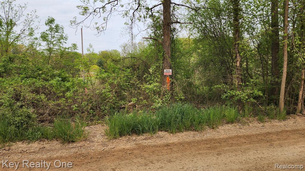 0 Pontiac Lake Road Oxford, MI 48371 - Photo 8 of 16
