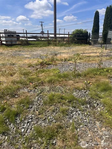 a view of a yard with an trees