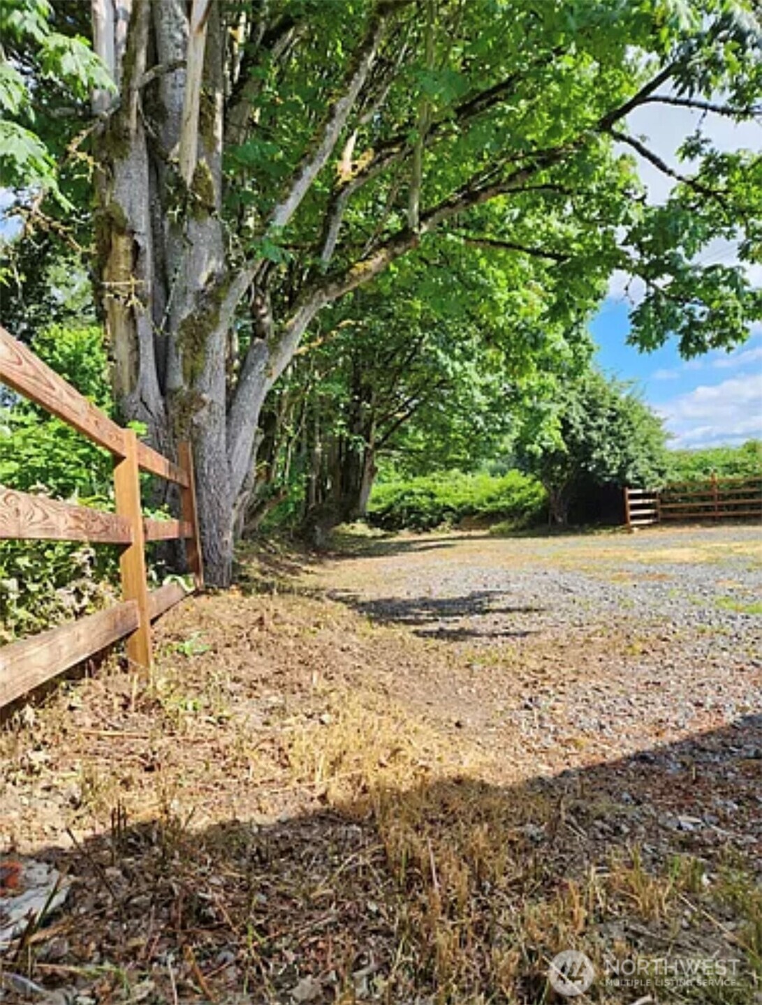 9813 Airport Way Snohomish, WA 98296 - Photo 13 of 17 a view of a yard with an trees