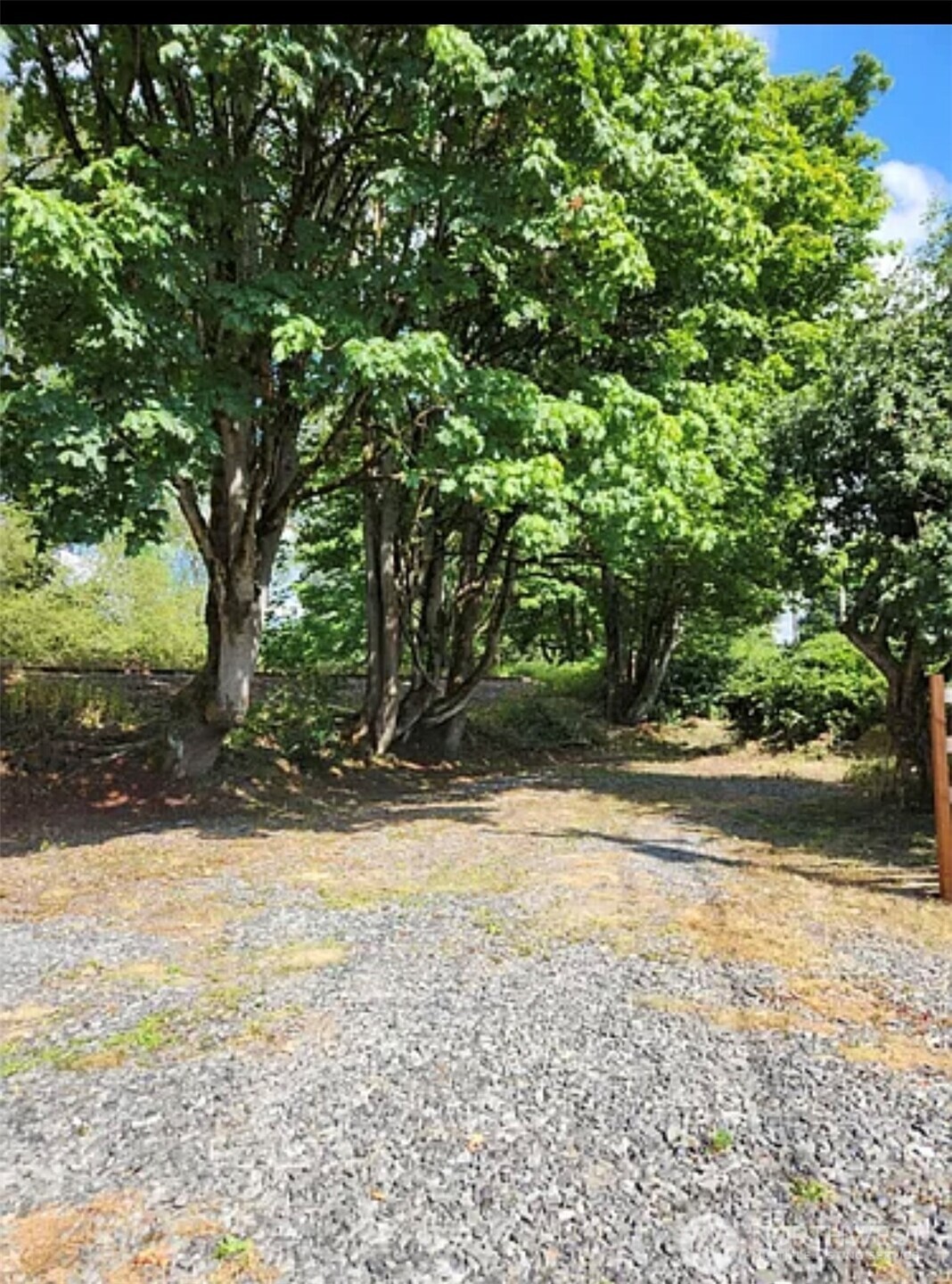 9813 Airport Way Snohomish, WA 98296 - Photo 16 of 17 a view of yard with trees