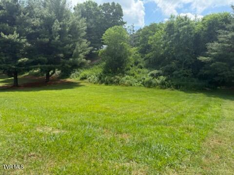 19004 Cleveland Road Abingdon, VA 24211 - Photo 5 of 57 IMG_2915 (1)